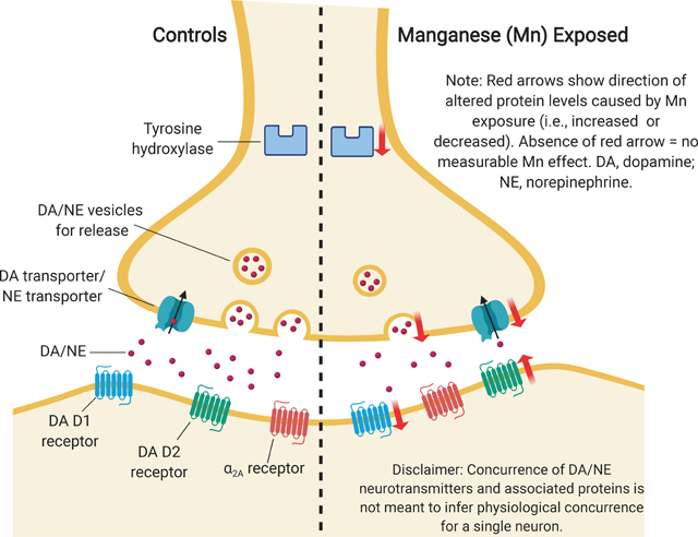 graphic file with name nihms-1063122-f0010.jpg