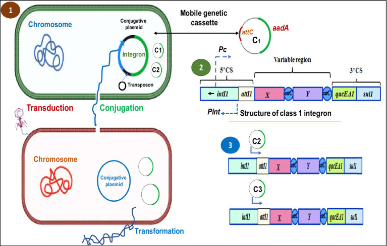 Figure 2