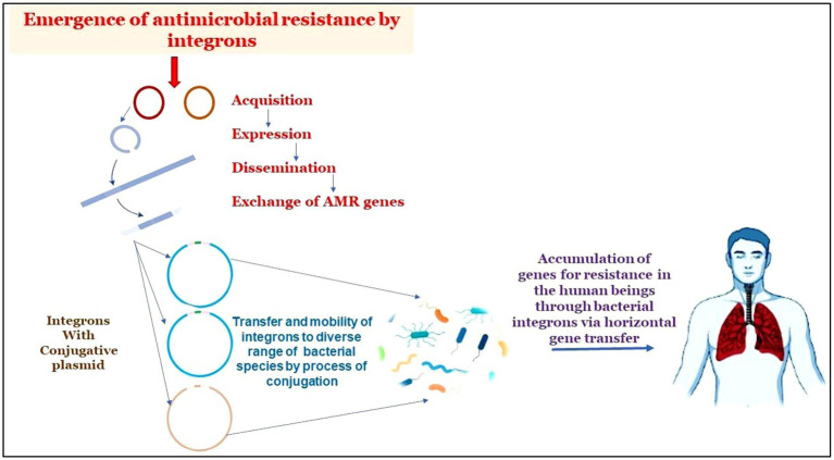 Graphical Abstract