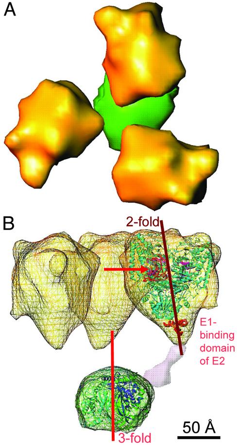 Fig. 5.