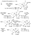 Scheme 15