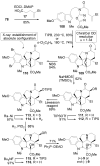 Scheme 18
