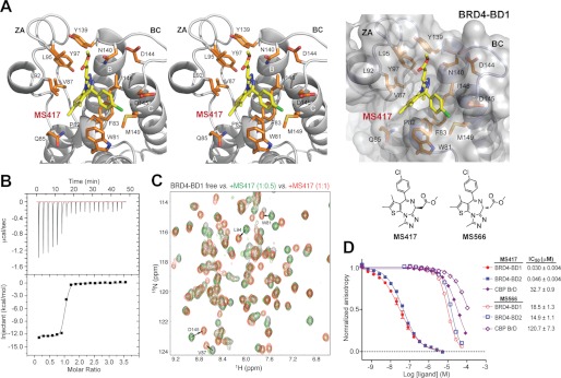 FIGURE 2.