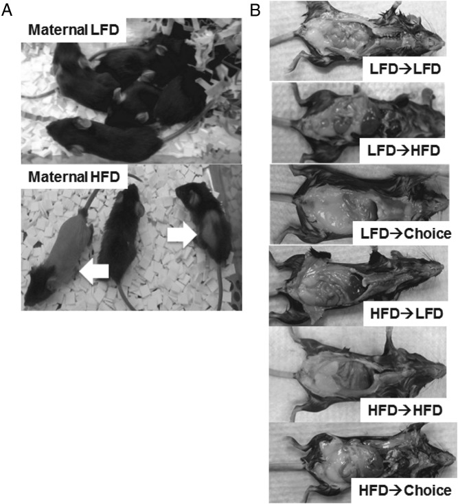 Figure 2.