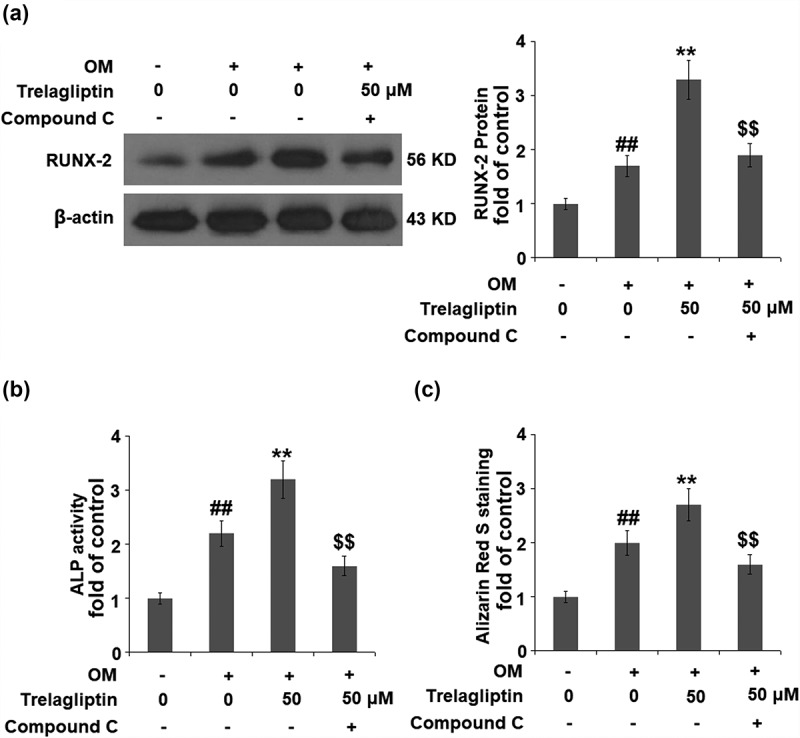 Figure 6.