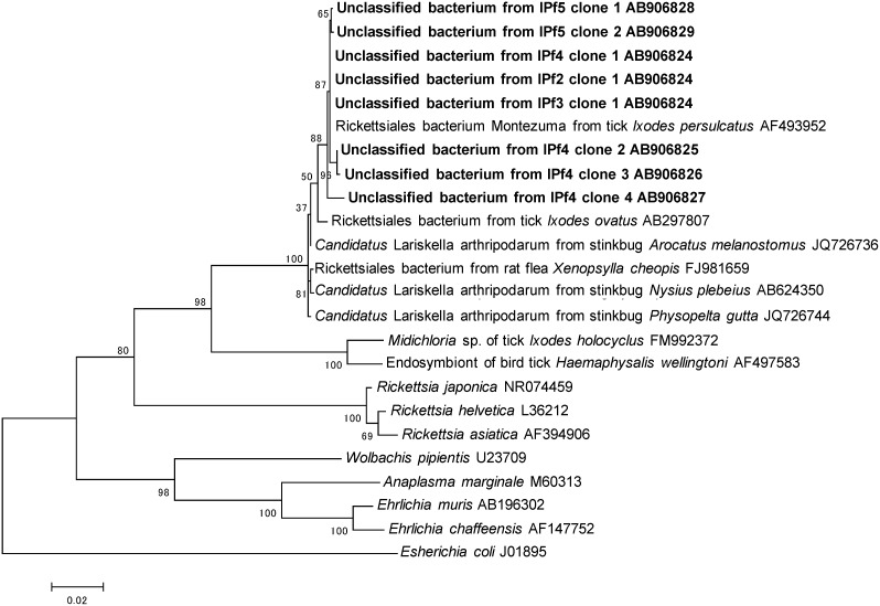 Figure 6