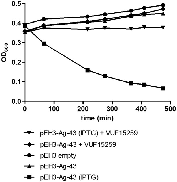 Figure 5