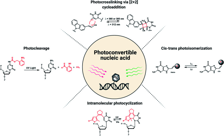 graphic file with name d1ra05951c-ga.jpg