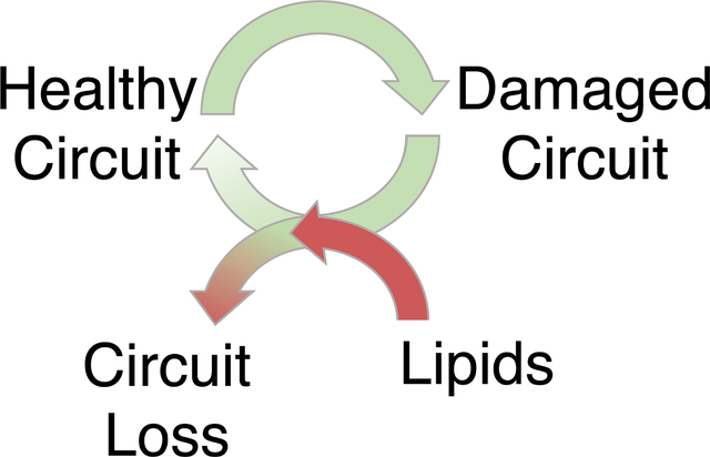 graphic file with name nihms-1839019-f0001.jpg