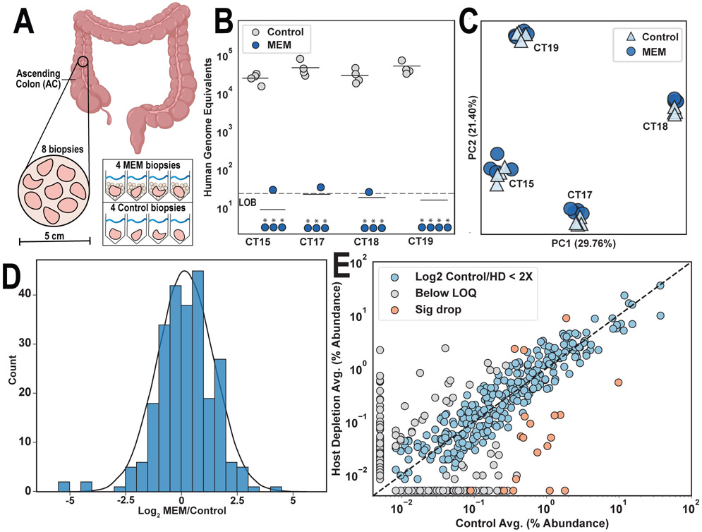 Figure 3: