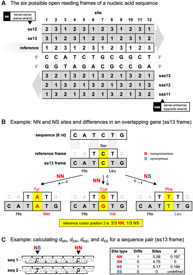 Fig. 1