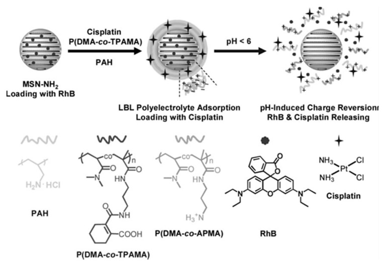 Figure 22