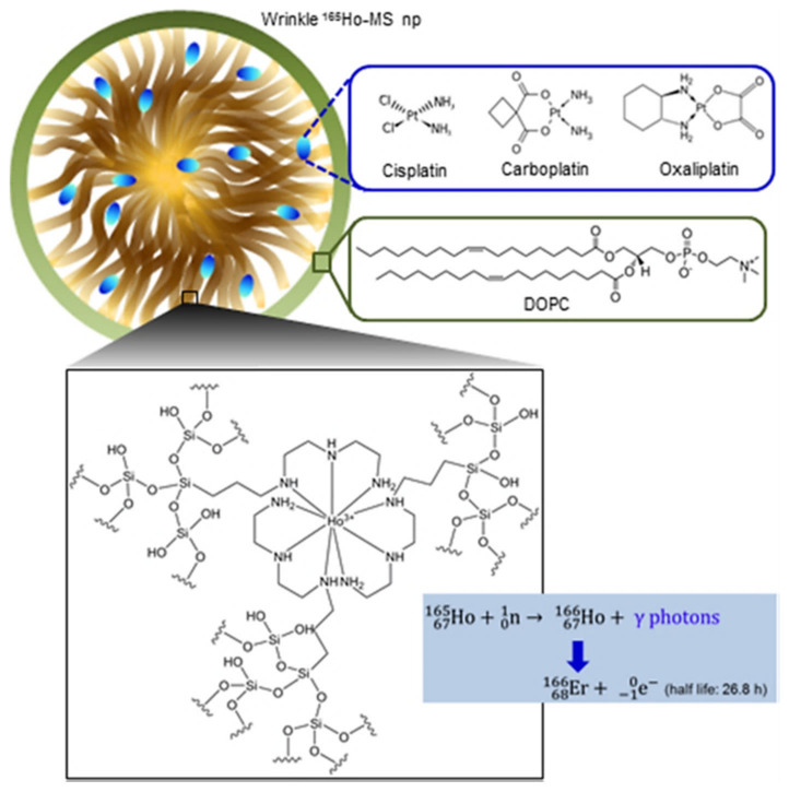 Figure 24