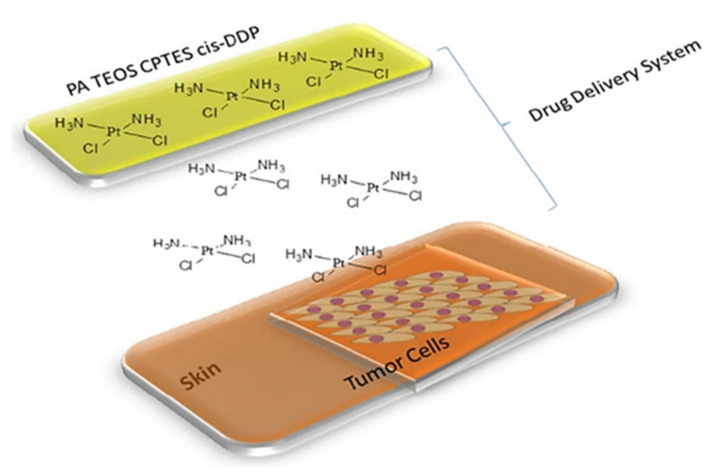 Figure 37