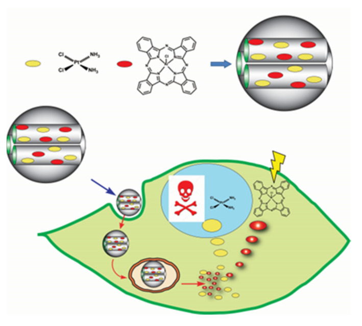 Figure 34