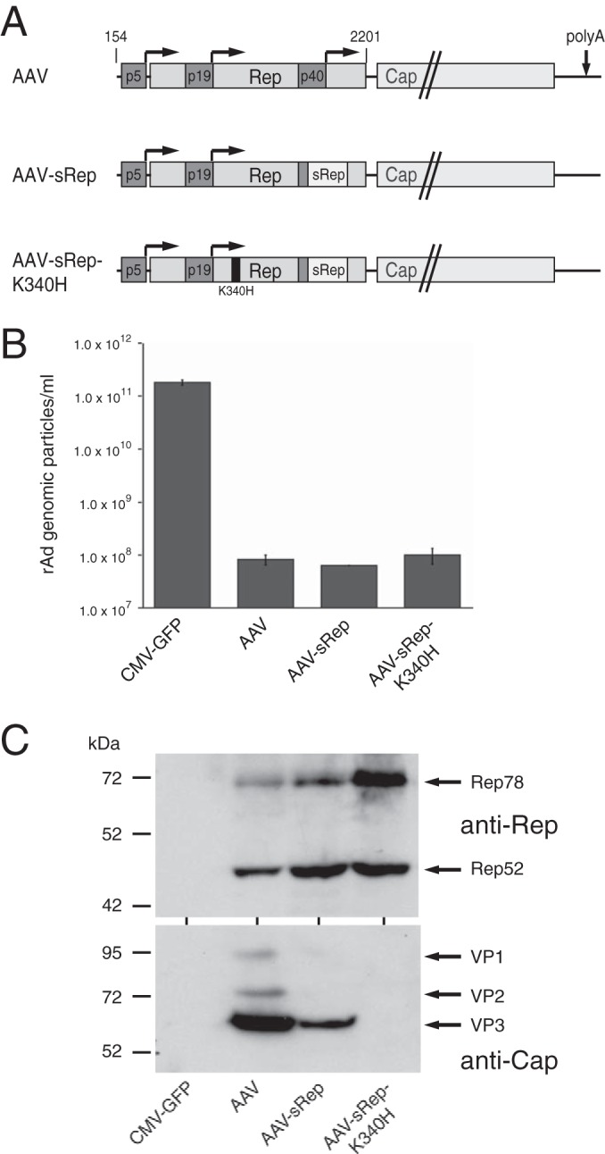 FIG 5