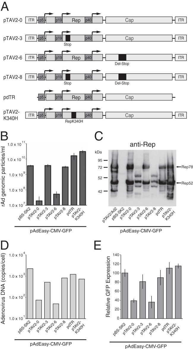 FIG 3