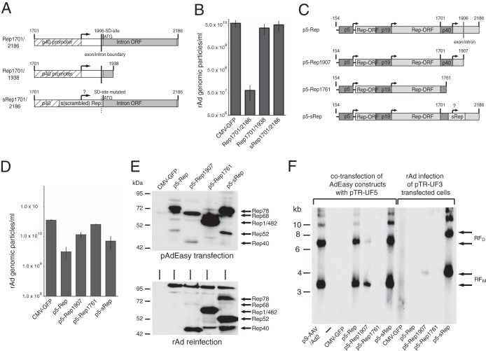 FIG 2