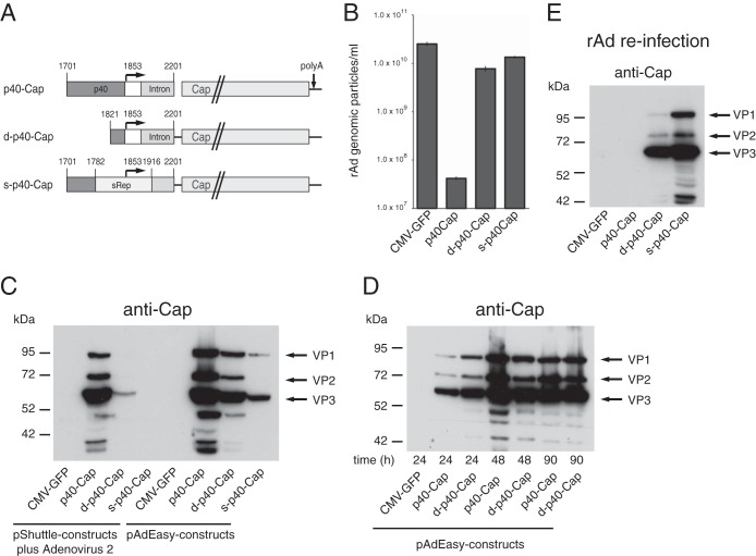 FIG 6