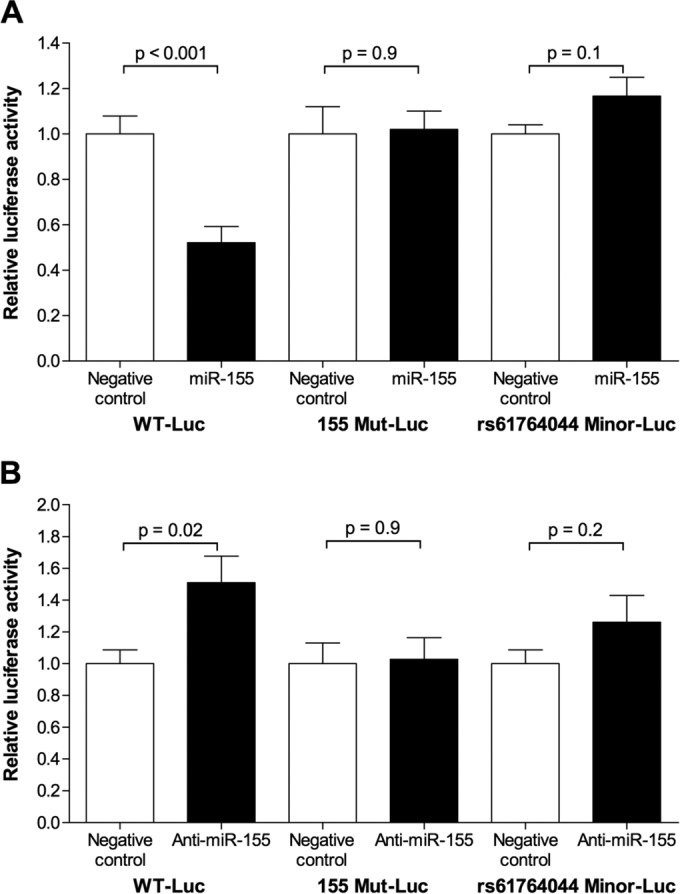 FIG 3