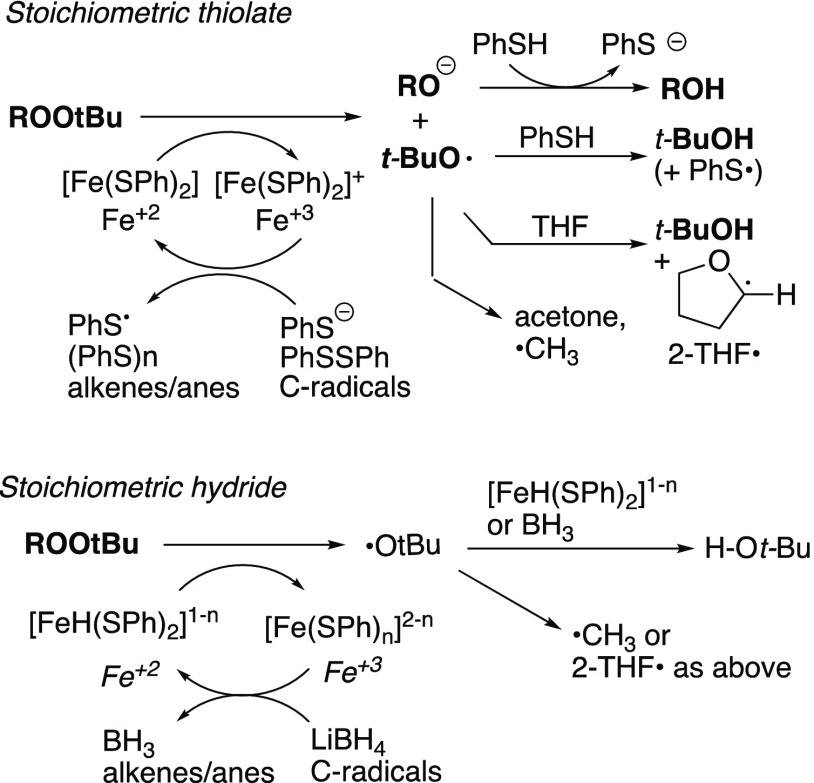 Scheme 5