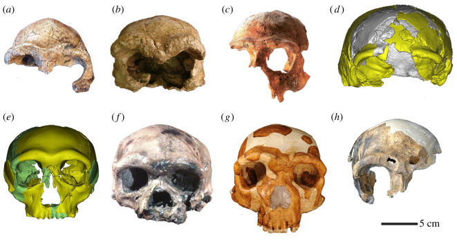 Figure 4. 
