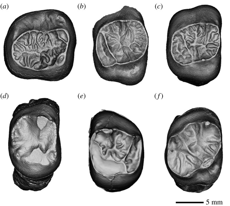 Figure 5. 