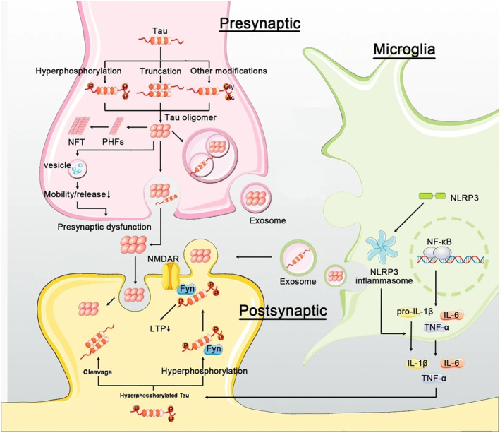 FIGURE 1