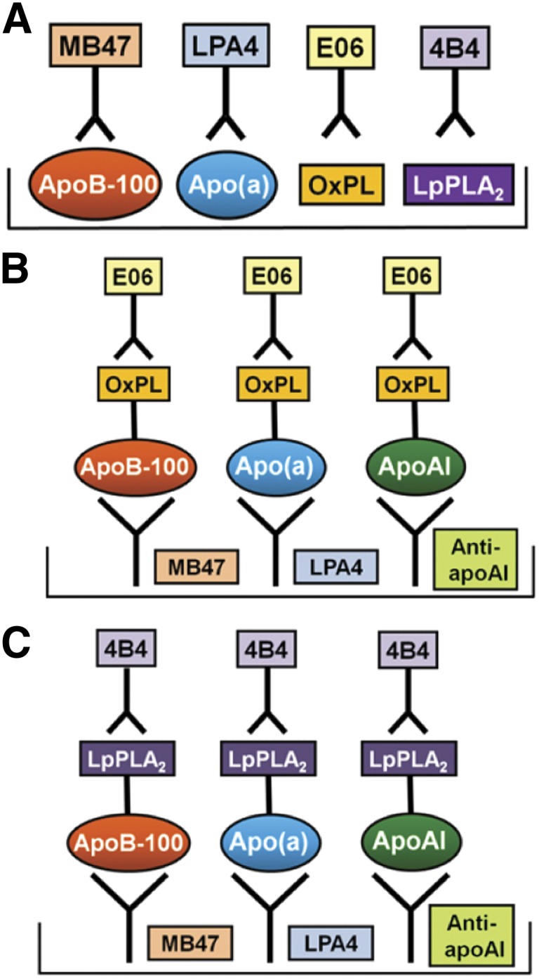 Fig. 1.