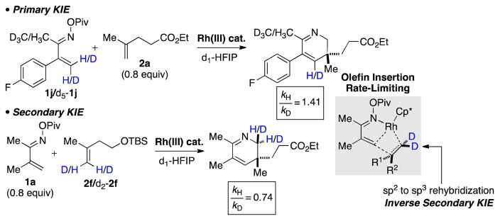 Scheme 5