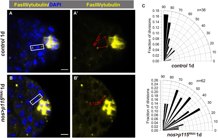 Figure 4