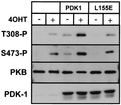 FIG. 8.