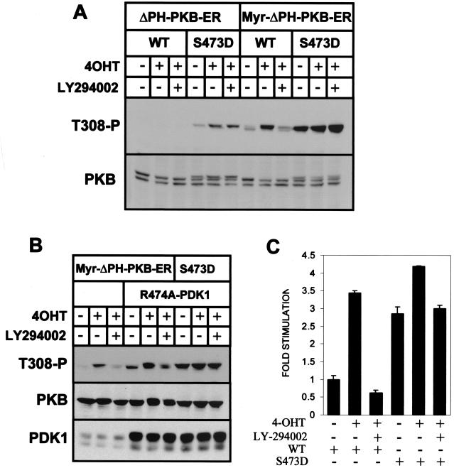 FIG. 6.