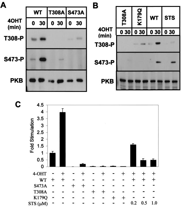 FIG. 5.