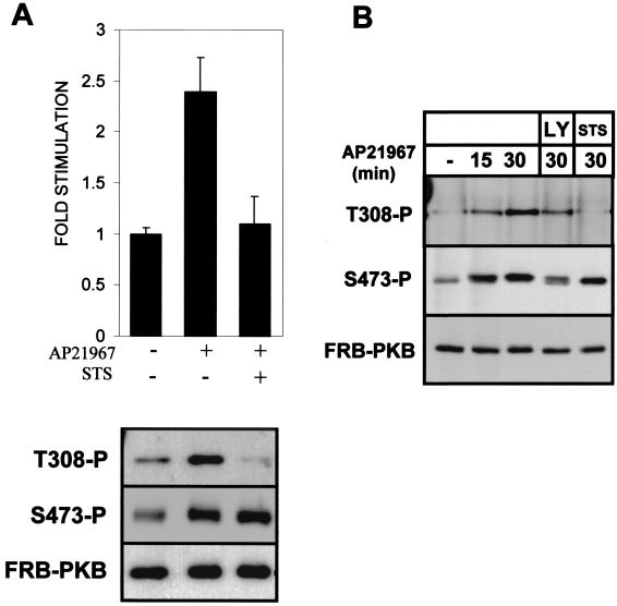 FIG. 11.