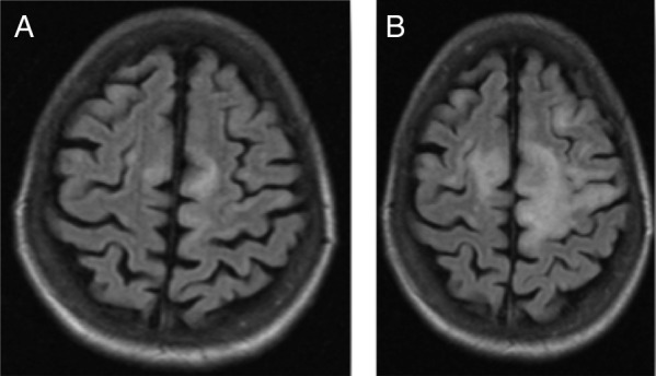 Figure 1