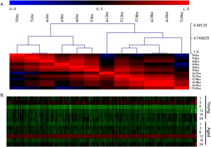 Supplementary Fig. 13