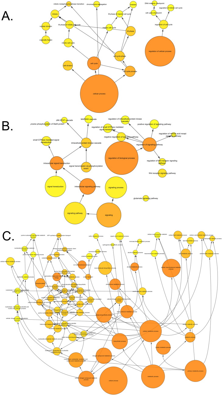 Supplementary Fig. 11