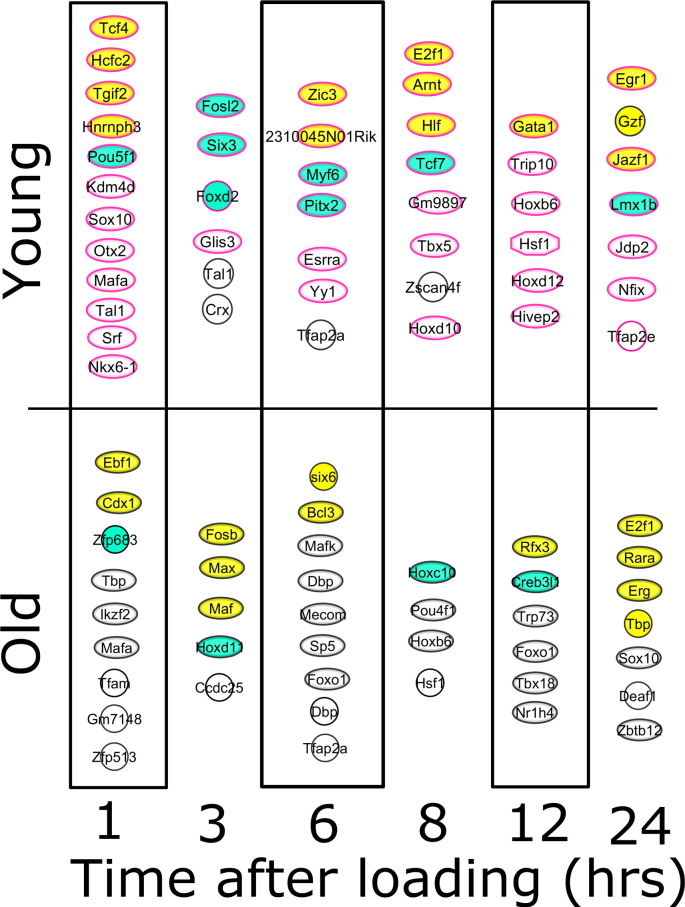 Fig. 10