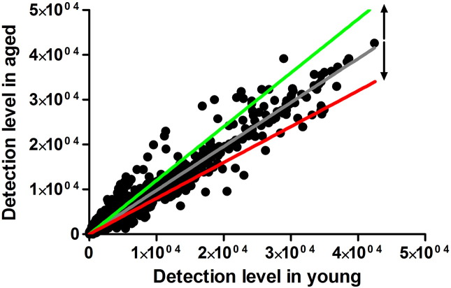 Supplementary Fig. 2