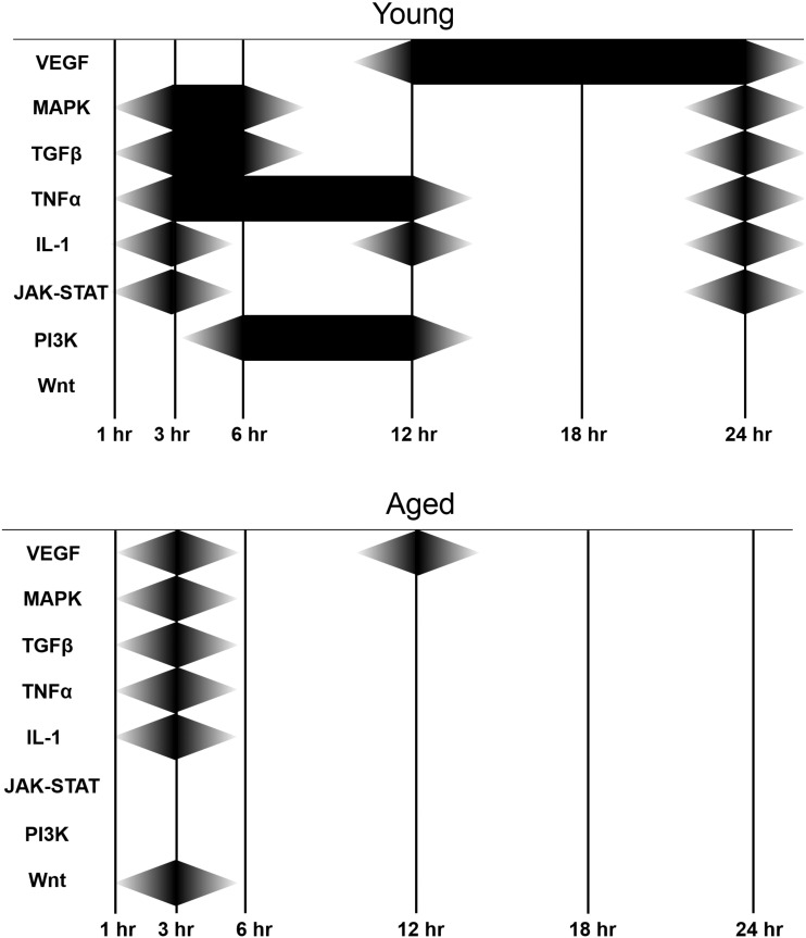 Fig. 11