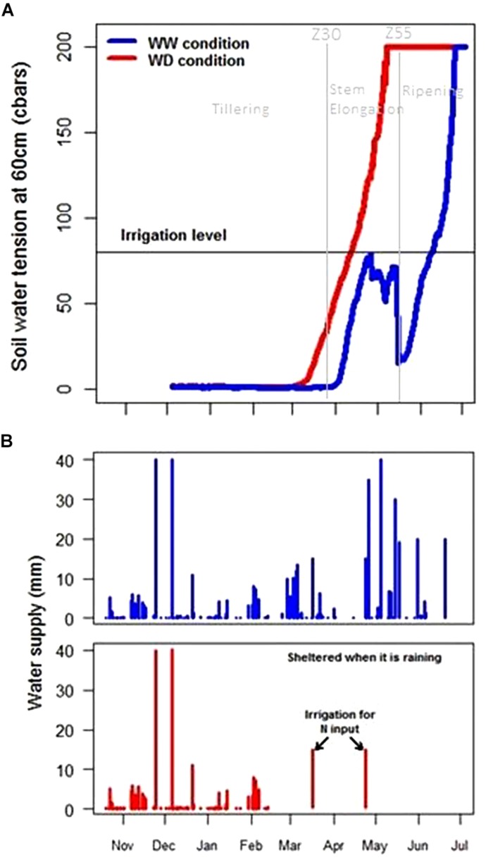 FIGURE 7