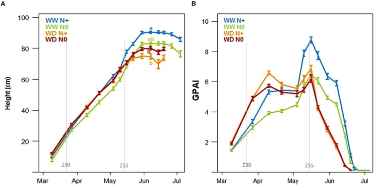 FIGURE 11