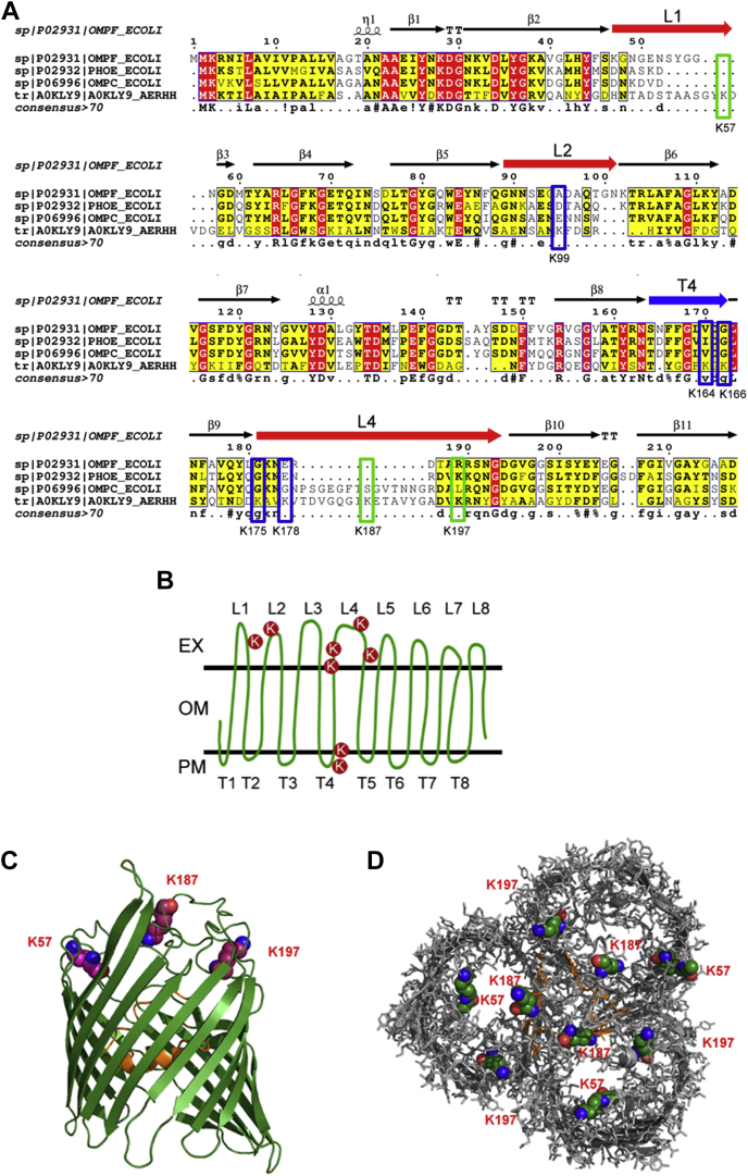 Fig. 7