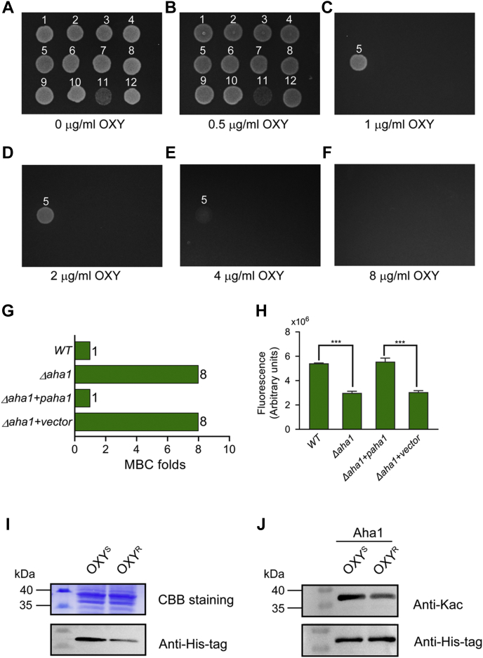 Fig. 4