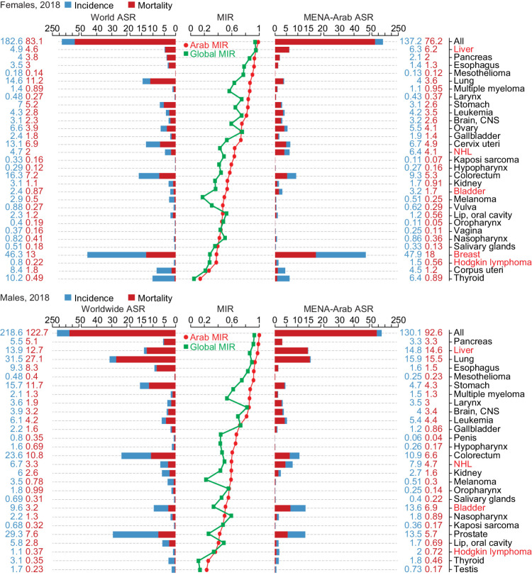 Figure 1. Cancer incidence, mortality, and mortality-to-incidence ratio in the Arab region. The MENA-Arab and worldwide ASR for incidence (blue) and mortality (red) for all cancers and each cancer site for all ages in 2018 for females (top) and males (bottom) are shown. The ASR values for incidence and mortality are shown in blue and red, respectively. Cancer sites are ranked according to the mortality-to-incidence ratio (MIR) shown in the middle line graphs; MENA-Arab MIR in red and worldwide MIR in green. Note: Djibouti, Comoros and Yemen were not included due to missing data.