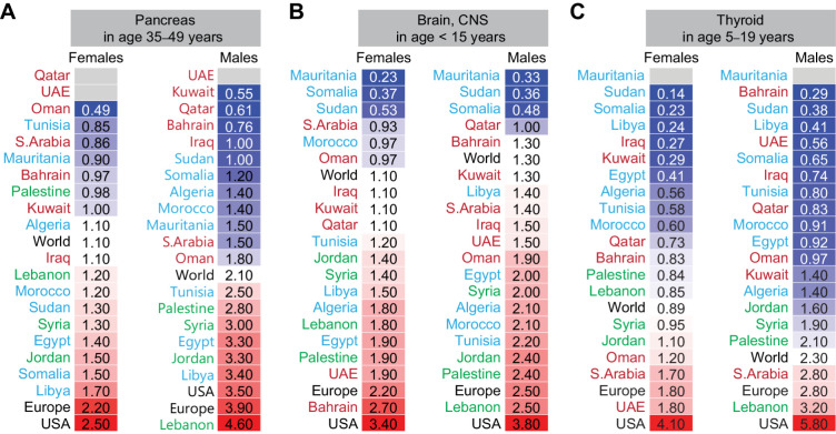 Figure 6. Age-specific incidence of other solid cancers in Arab countries. ASR for incidence for cancers of the pancreas (A), brain, central nervous system (CNS; B), and thyroid (C) in females and males. Arab countries are labeled as those in the Arabian Gulf (maroon), the Levant (green), and North Africa (blue). The worldwide ASR is marked with bold font, United States, and Europe in black font. ASR for specific age groups is shown; for all age groups and other cancer sites refer to Supplementary Fig. S5.