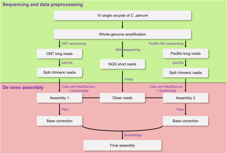 Fig. 2