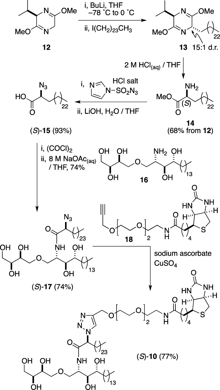 Scheme 2