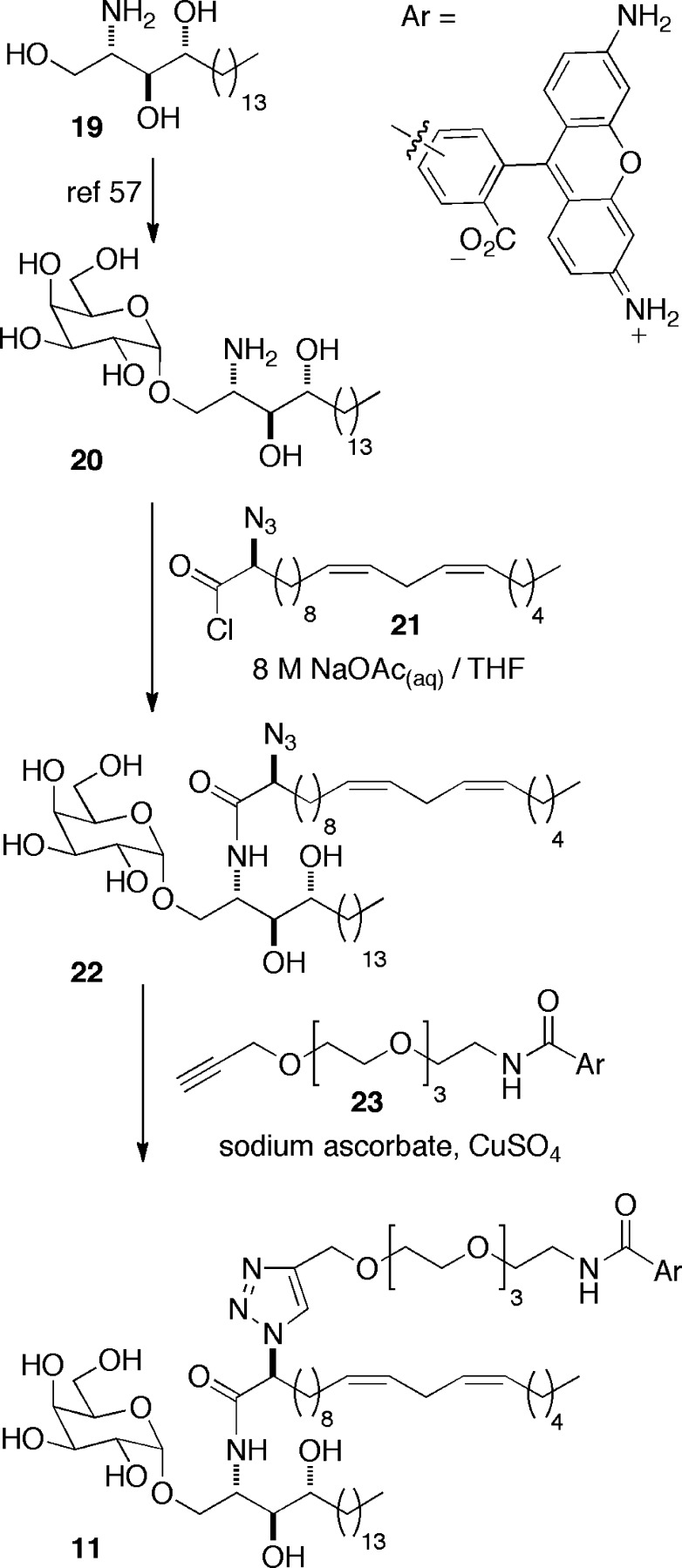 Scheme 3